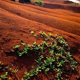 new world新世界加速器推荐，嘀嗒加速器开启免费试用